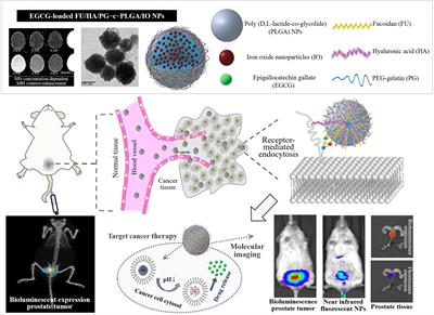 Nanotheranostics With the Combination of Improved Targeting, Therapeutic Effects, and Molecular Imaging